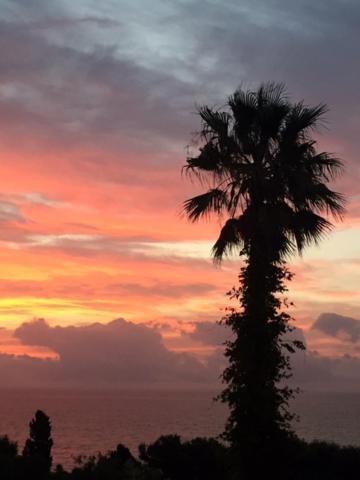 Casa Bahia De Casares Bed and Breakfast Εξωτερικό φωτογραφία